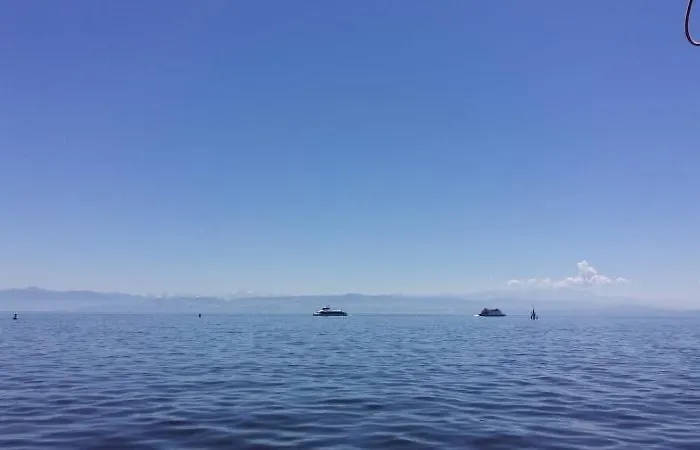 Sara * Friedrichshafen